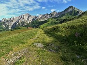 88 Rientrando sul sent. 116 alla Baita del Camoscio